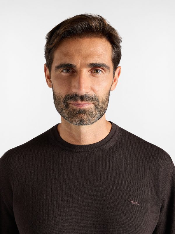 Maglia girocollo basic in lana merino — Bacca