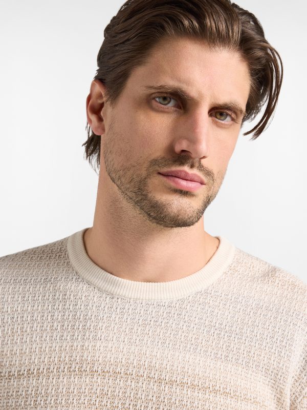 Maglia girocollo in lana con stampa — Tortora